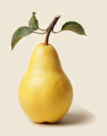 Williams jaune