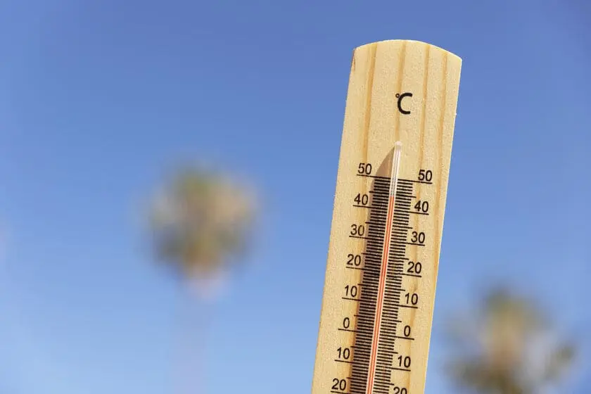 Arrosage arbres fruitiers canicule