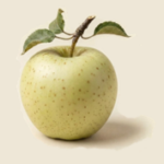 Reinette Blanche du canada